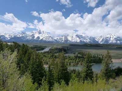 Grand Teton Nat'l Park