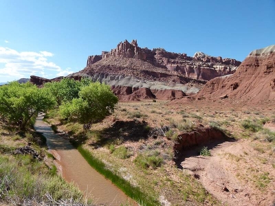 Capitol Reef Nat'l Park