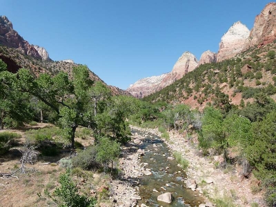 Zion Nat'l Park