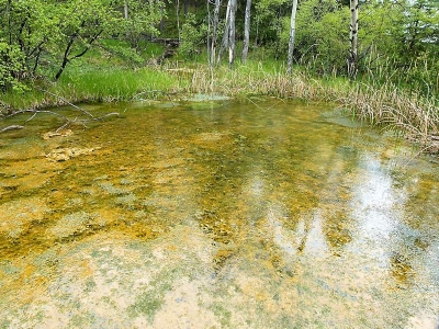 Cave & Basin (Banff)